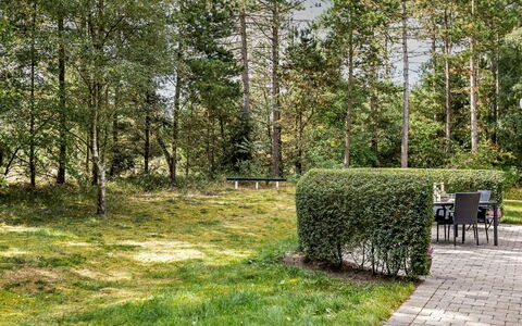 Troen - 3.8Km from the Sea: Albero, Verde, Erba, Foglia, Vegetazione, Arbusto, Giardino, Lotto, Comunita 'Impianto, Groundcover