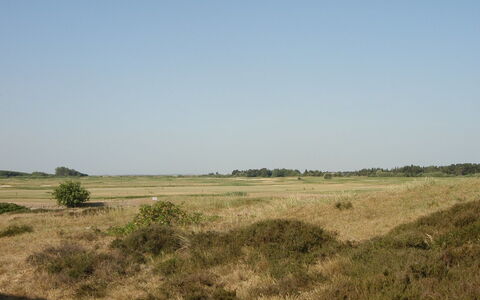 Aswith - 2.3Km from the Sea: Erba, Casa, Tetto, Villetta, Casa, Arbusto, Agriturismo, Lotto, Area Rurale