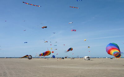 Chrisse - 550M from the Sea