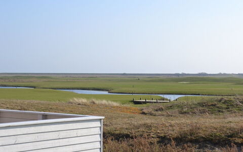 Jasna - 2.3Km from the Sea: Erba, Legna, Area Rurale, Arbusto, Villetta, Tetto, Plain, Lotto, Casa, Groundcover