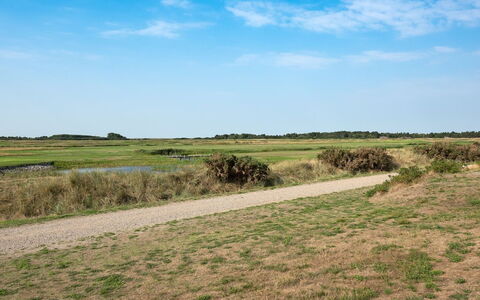 Jovanka - 2.3Km from the Sea: Cielo, Blu, Verde, Erba, Pascolo, Ambiente Naturale, Ecoregione, Paesaggio Naturale, Vegetazione, Plain
