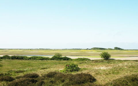 Sighwald - 2.3Km from the Sea: Cielo, Verde, Erba, Pascolo, Paesaggio Naturale, Ecoregione, Vegetazione, Plain, Steppa, Prateria