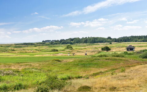 Ønd - 2.5Km from the Sea: Arbusto, Urban Design, Groundcover, Brick, Appartamento, Estate, Muratura, Balcone, Landscaping