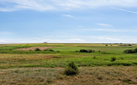 Ønd - 2.5Km from the Sea: Arbusto, Urban Design, Groundcover, Brick, Appartamento, Estate, Muratura, Balcone, Landscaping