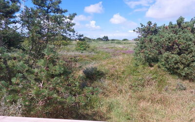 Elgin - 1.8Km from the Sea