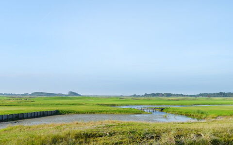 Nayana - 2.3Km from the Sea: Cielo, Verde, Ambiente Naturale, Paesaggio Naturale, Pascolo, Plain, Palude, Ecoregione, Orizzonte, Nube