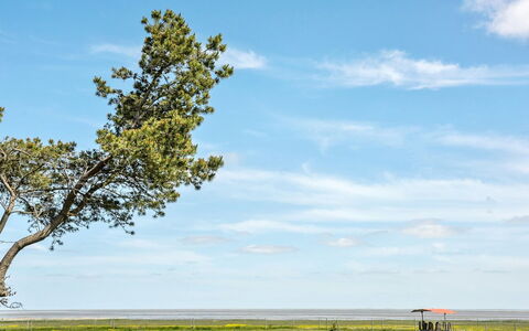 Svanborg - 3.7Km from the Sea: Tetto, Casa, Lotto, Casa, Villetta, Estate, Edifici Giardino, Shade, Log Cabin, Landscaping