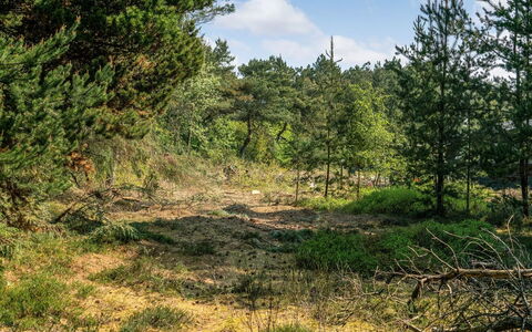 Herborg - 1Km from the Sea: Albero, Ambiente Naturale, Foglia, Vegetazione, Foresta, Natura Selvaggia, Comunita 'Impianto, Arbusto, Ecoregione