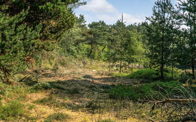 Herborg - 1Km from the Sea