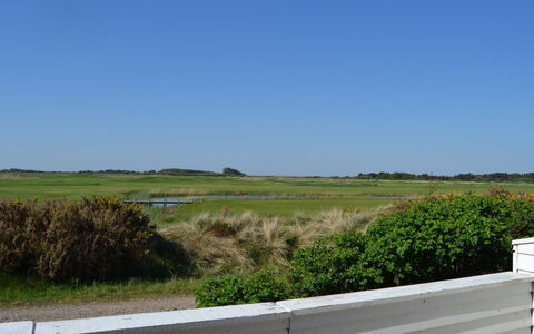 Drita - 2.3Km from the Sea: Cielo, Verde, Erba, Pascolo, Plain, Ecoregione, Lotto, Steppa, Prateria
