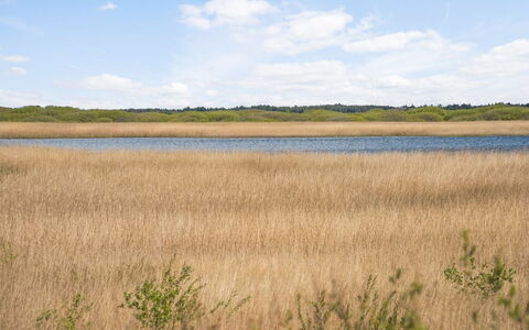Hermandine - 700M from the Sea: Tetto, Casa, Lotto, Casa, Villetta, Estate, Edifici Giardino, Shade, Log Cabin, Landscaping