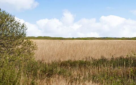 Hermandine - 700M from the Sea: Tetto, Casa, Lotto, Casa, Villetta, Estate, Edifici Giardino, Shade, Log Cabin, Landscaping