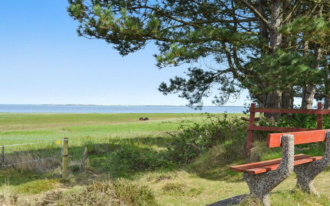 Sedine - 3.9Km from the Sea: Erba, Verde, Paesaggio Naturale, Pascolo, Estate, Panchina, Mobilia, Mare, Plain, Lotto