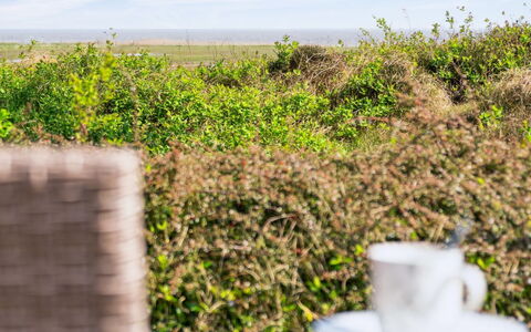 Sedine - 3.9Km from the Sea: Comunita 'Impianto, Luce Del Sole, Pianta Erbacea, Giardino, Piantagione, Agricoltura, Azienda Agricola