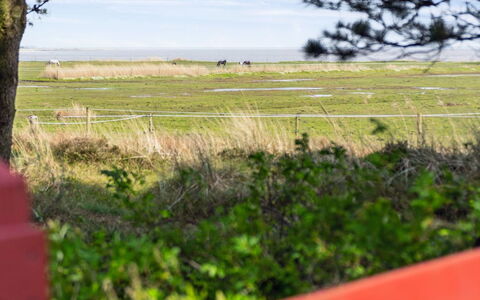 Sedine - 3.9Km from the Sea: Comunita 'Impianto, Luce Del Sole, Pianta Erbacea, Giardino, Piantagione, Agricoltura, Azienda Agricola