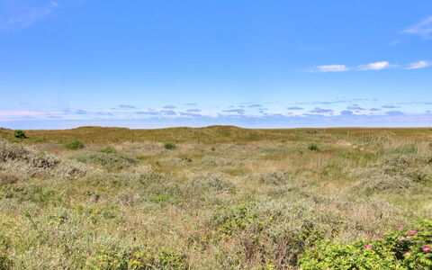 Zekine - 2.5Km from the Sea: Cielo, Blu, Pascolo, Erba, Ambiente Naturale, Ecoregione, Vegetazione, Orizzonte, Paesaggio Naturale, Plain