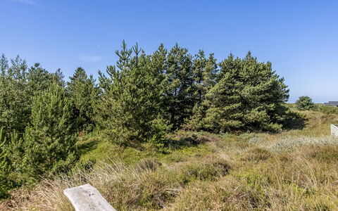 Bruna - 2Km from the Sea: Mobilia, Legna, Interior Design, Pavimentazione, Pavimento, Sedia, Camera, Soffitto, Soggiorno, Appartamento