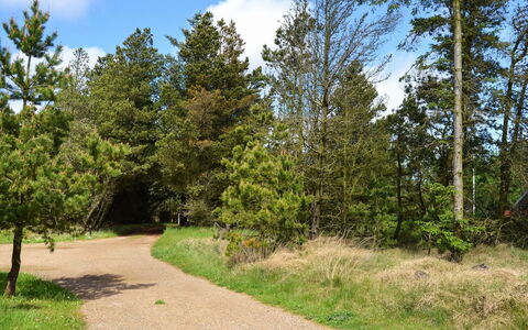 Trana - 2Km from the Sea: Foglia, Albero, Verde, Natura, Ramo, Vegetazione, Paesaggio Naturale, Arbusto, Trail, Comunita 'Impianto