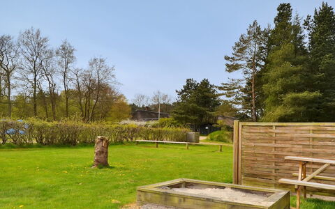 Naili - 3.1Km from the Sea: Albero, Erba, Arbusto, Giardino, Lotto, Prato, Groundcover, Prato, Landscaping, Backyard