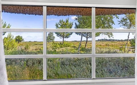 Artan - 2.6Km from the Sea: Erba, Pascolo, Paesaggio, Ecoregione, Plain, Comunita 'Impianto, Lotto, Mobili Da Esterno, Prateria, Shrubland