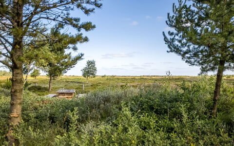 Artan - 2.6Km from the Sea: Erba, Pascolo, Paesaggio, Ecoregione, Plain, Comunita 'Impianto, Lotto, Mobili Da Esterno, Prateria, Shrubland