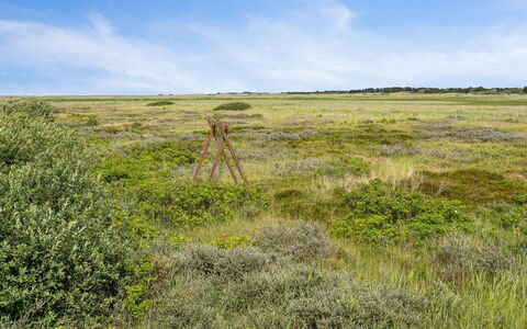 Fiona - 800M from the Sea: Villetta, Capannone, Capanna, Agriturismo, Prateria, Baracca, Fienile, Log Cabin, Edifici Giardino