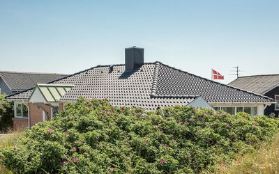 Nyssa - 350M from the Sea