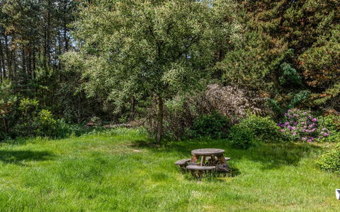 Jul - 900M from the Sea: Albero, Erba, Foglia, Vegetazione, Arbusto, Giardino, Comunita 'Impianto, Pascolo, Lotto