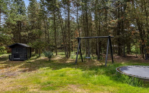 Jul - 900M from the Sea: Albero, Erba, Lotto, Tronco, Woodland, Boschetto, Foresta, Shade, Giardino, Parco