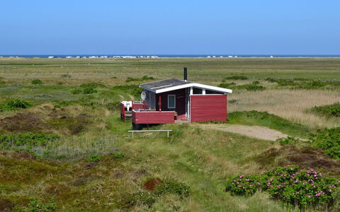 Hermoth - 300M from the Sea: 