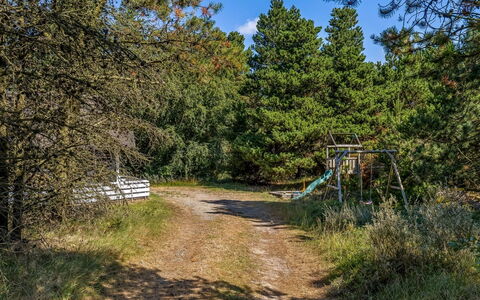 Lin - 2.9Km from the Sea: Albero, Erba, Foglia, Natura, Ramo, Vegetazione, Arbusto, Trail, Comunita 'Impianto, Foresta
