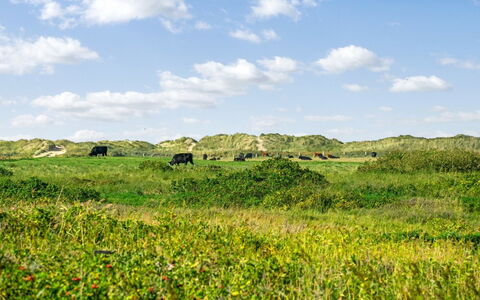 Mortensen - 350M from the Sea: Villetta, Capannone, Capanna, Agriturismo, Prateria, Baracca, Fienile, Log Cabin, Edifici Giardino