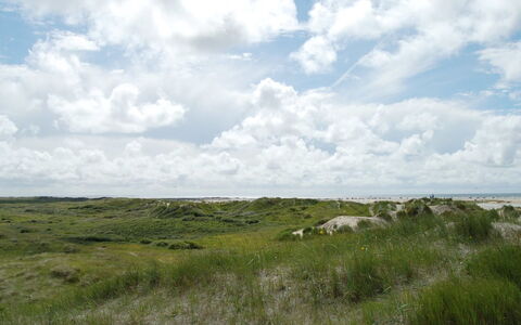 Kalf - 400M from the Sea: Erba, Casa, Tetto, Casa, Villetta, Arbusto, Lotto, Area Rurale, Agriturismo, Groundcover