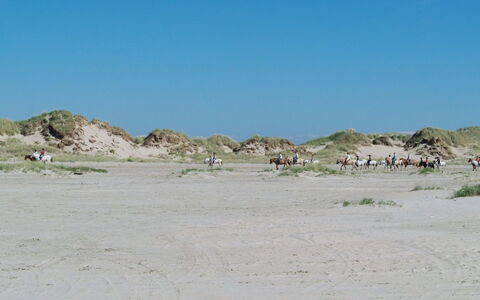 Sigrun - 4Km from the Sea: Zona Residenziale, Tetto, Sobborgo, Driveway, Estate, Camino