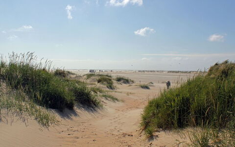 Neia - 640M from the Sea: Tetto, Casa, Lotto, Casa, Villetta, Estate, Edifici Giardino, Shade, Log Cabin, Landscaping