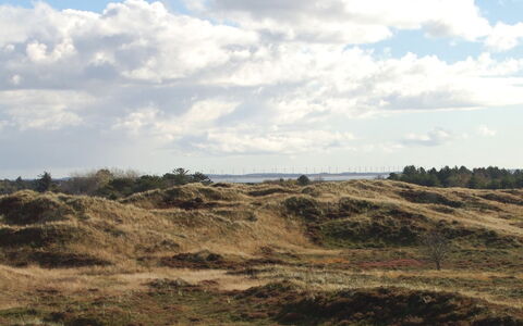 Inga - 1.3Km from the Sea: Cielo, Blu, Nube, Vegetazione, Pascolo, Ecoregione, Orizzonte, Comunita 'Impianto, Marrone, Natura Selvaggia