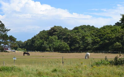 Vivan - 3.8Km from the Sea
