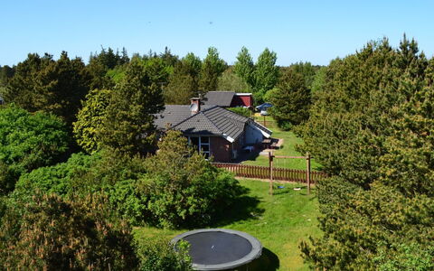 Botulf - 3.8Km from the Sea: Arbusto, Giardino, Prato, Villetta, Landscaping, Cortile, Backyard, Sempreverde