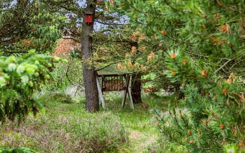 Bogatin - 1Km from the Sea: Ambiente Naturale, Vegetazione, Arbusto, Foresta, Groundcover, Giardino, Tronco, Riserva Naturale, Woody Impianto, Giungla