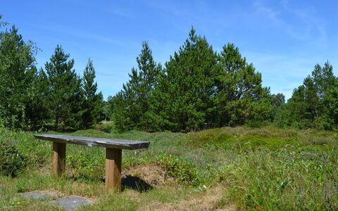 Redward - 1Km from the Sea: Erba, Verde, Foglia, Ambiente Naturale, Natura, Vegetazione, Pascolo, Arbusto, Comunita 'Impianto, Ecoregione