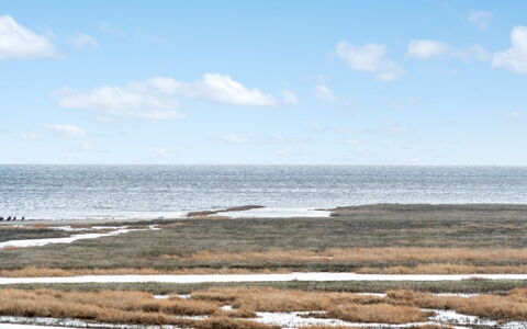 Langsom - 100M from the Sea: Blu, Acqua, Risorse Idriche, Orizzonte, Ecoregione, Mare, Costiera E Morfologie Oceanic, Palude