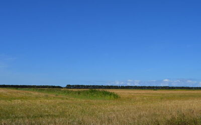 Anna - 1Km from the Sea