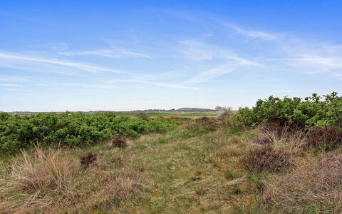 Reija - 2.3Km from the Sea: Cielo, Blu, Erba, Verde, Ambiente Naturale, Pascolo, Vegetazione, Ecoregione, Paesaggio Naturale, Comunita 'Impianto