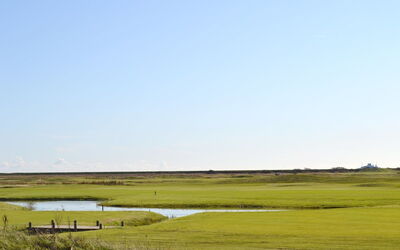 Reija - 2.3Km from the Sea