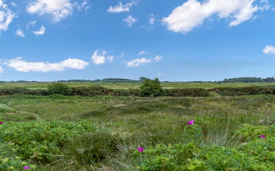 Reija - 2.3Km from the Sea