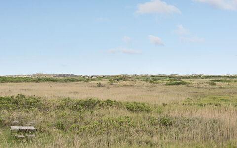 Sybilla - 700M from the Sea: Cielo, Erba, Pascolo, Ambiente Naturale, Ecoregione, Vegetazione, Plain, Pascolo, Prateria, Steppa