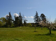 botmund - 3.6km From The Sea