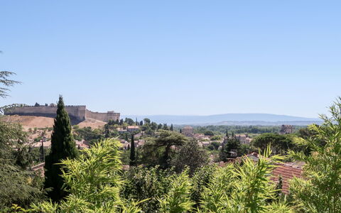 La Cigale: Cielo, Pianta, Paesaggio Naturale, Albero, Lotto, Fiore, Pascolo, Prato, Arbusto, Paesaggio