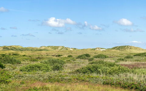 Ortwin - 300M from the Sea: Erba, Casa, Tetto, Casa, Villetta, Arbusto, Lotto, Area Rurale, Agriturismo, Groundcover