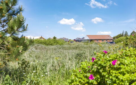 Winald - 500M from the Sea: Erba, Casa, Tetto, Casa, Villetta, Arbusto, Lotto, Area Rurale, Agriturismo, Groundcover